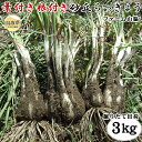 鳥取県の中部、砂丘地帯が広がる『北栄町』の農家【ファーム山脇さん】のらっきょうをお届けします。葉付き・根付き・砂付き状態での出荷です。葉と根を切り落とし、甘酢漬けなどに加工や調理にもお使いください。 名称 砂丘らっきょう（根付き）3キロ 内容 （根付き）3キロ 申込期日 令和6年5月15日までにご入金のあった方に限ります 提供期間 期間限定（令和6年5月下旬〜令和6年6月中旬） 発送方法 常温 　　　　　　　　　　　　　　 賞味期限 到着後はお早目に調理・漬け作業を行ってください。すぐに調理・漬けない場合には冷蔵庫の野菜室などで保管してください。 特記事項 提供業者 株式会社フォーシーズン0857-73-0330