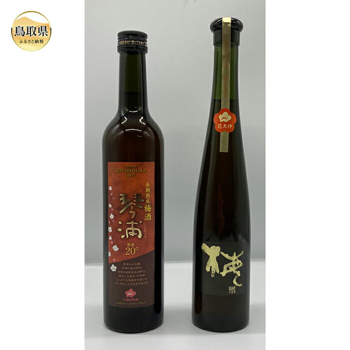 【ふるさと納税】B24-048 鳥取県の美味しい酒　梅酒　2本セットA