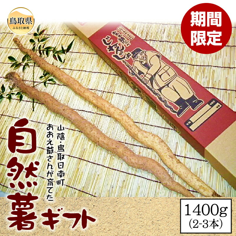 自然薯ギフト[期間限定]