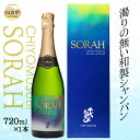 【ふるさと納税】B24-132 CHIYOMUSUBI SORAH(専用箱入り) 鳥取県 日本酒 シャンパン 720ml お酒