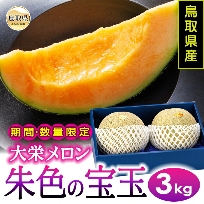 楽天鳥取県【ふるさと納税】B24-330 鳥取県産朱色の宝玉（大栄メロン）3kg【期間・数量限定】 鳥取県 おすすめ メロン めろん 果物 フルーツ 赤肉メロン