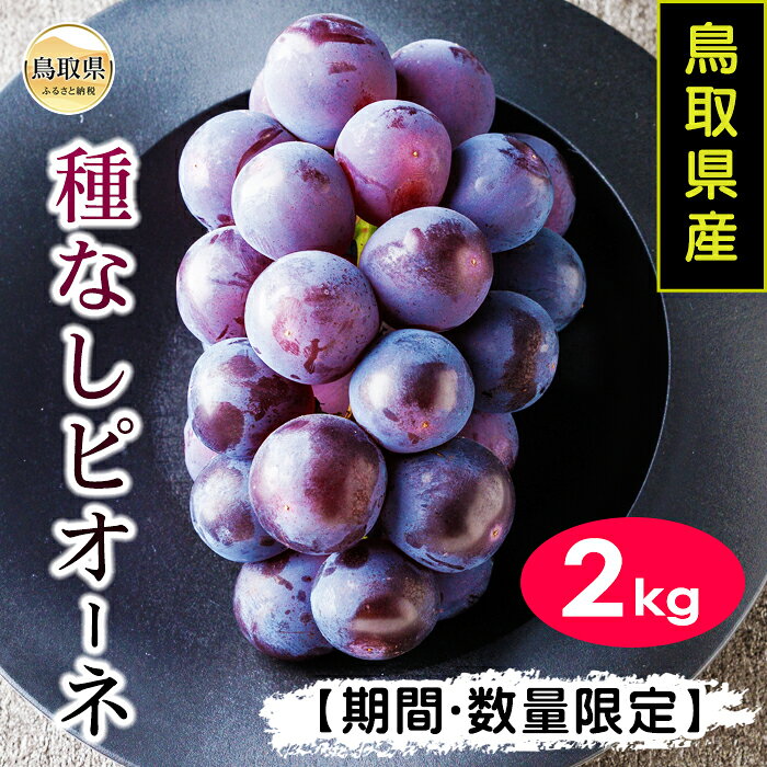 鳥取県産種なしピオーネぶどう 2kg【期間・数量限定】_T2600614