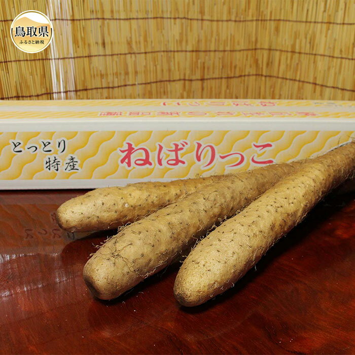 ڤդ뤵ǼǡB24-216 ͤФäڿ̸ Ļ踩 Ĺ ʤ ʼ
