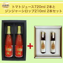 16位! 口コミ数「0件」評価「0」B24-358 鳥取県日南町のトマトジュース(食塩不使用)とジンジャーシロップセット【数量限定】