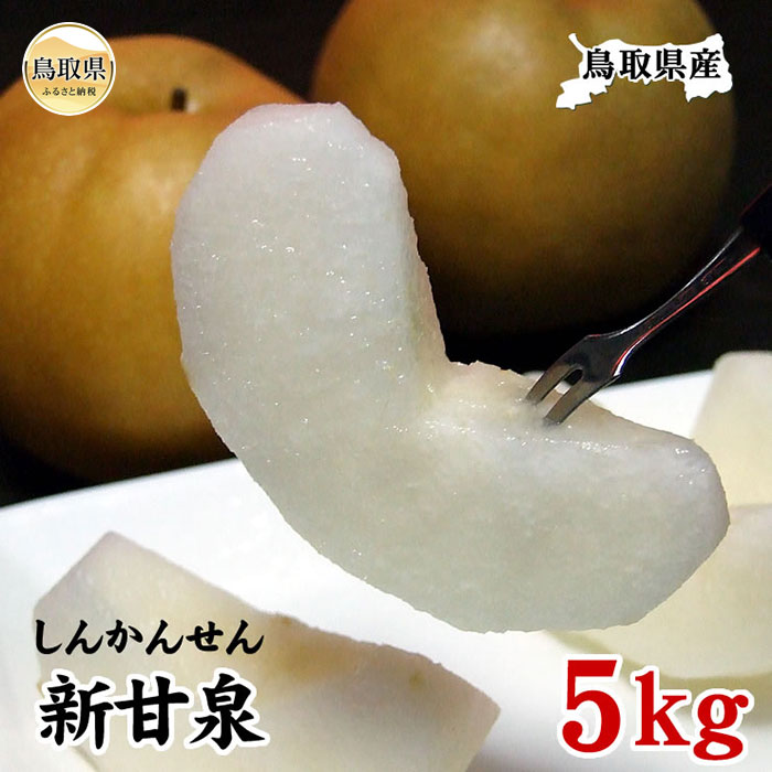【ふるさと納税】B24-485 新甘泉　5kg（自家用）【鳥取県産】【期間限定】 鳥取県 おすすめ しんかんせん なし しんかんせんなし ナシ ジューシー 新品種 梨のサムネイル