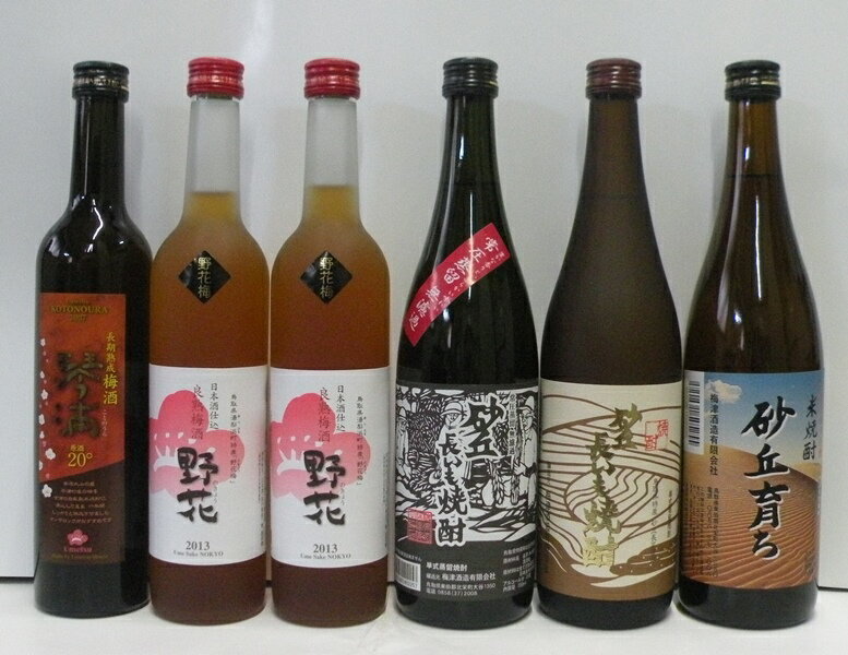 【ふるさと納税】C22-15 鳥取県の美味しい酒 焼酎・梅酒 6本セット