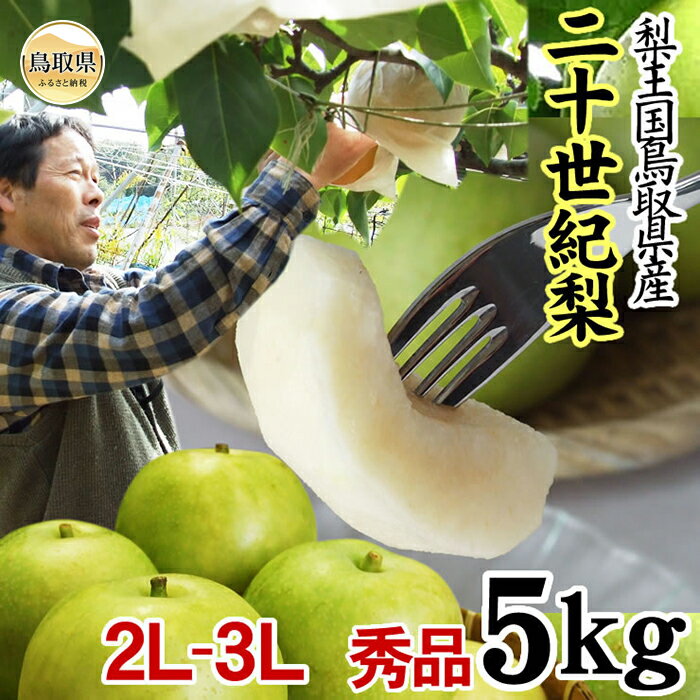 中野農園[二十世紀梨]5キロ[ご進物用 2L-3Lサイズ](秀品)[常温]鳥取県産[期間限定]