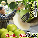 【ふるさと納税】C24-130 中野農園【二十世紀梨】5キロ