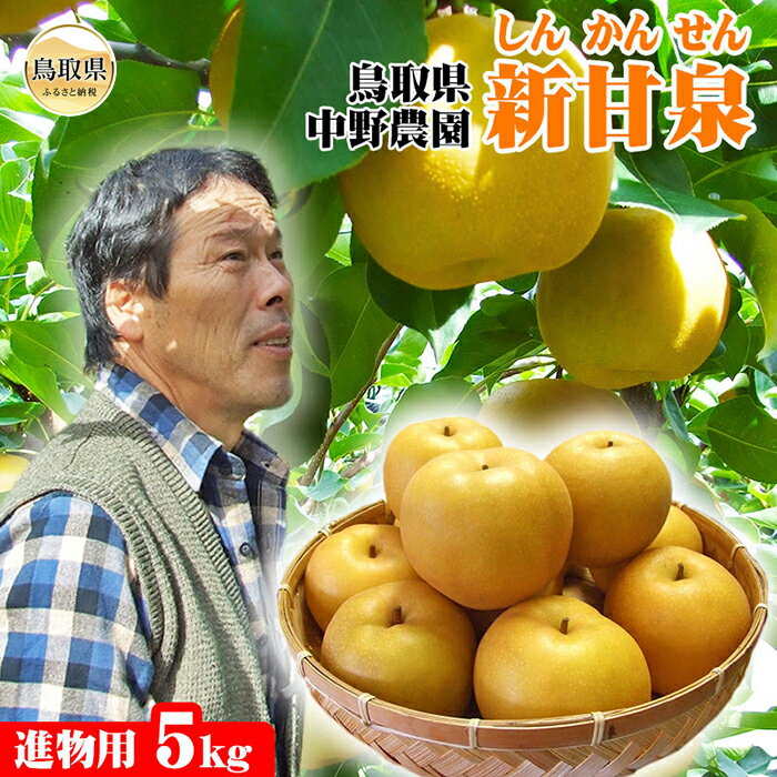 【ふるさと納税】C24-132 【中野農園】新甘泉【進物用】5kgセット(8-15玉程度)[常温]【鳥取県産】【期間限定】 鳥取県 おすすめ しんかんせん なし しんかんせんなし ナシ ジューシー 新品種 梨のサムネイル