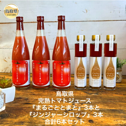 C24-099 鳥取県日南町のトマトジュースとジンジャーシロップセット
