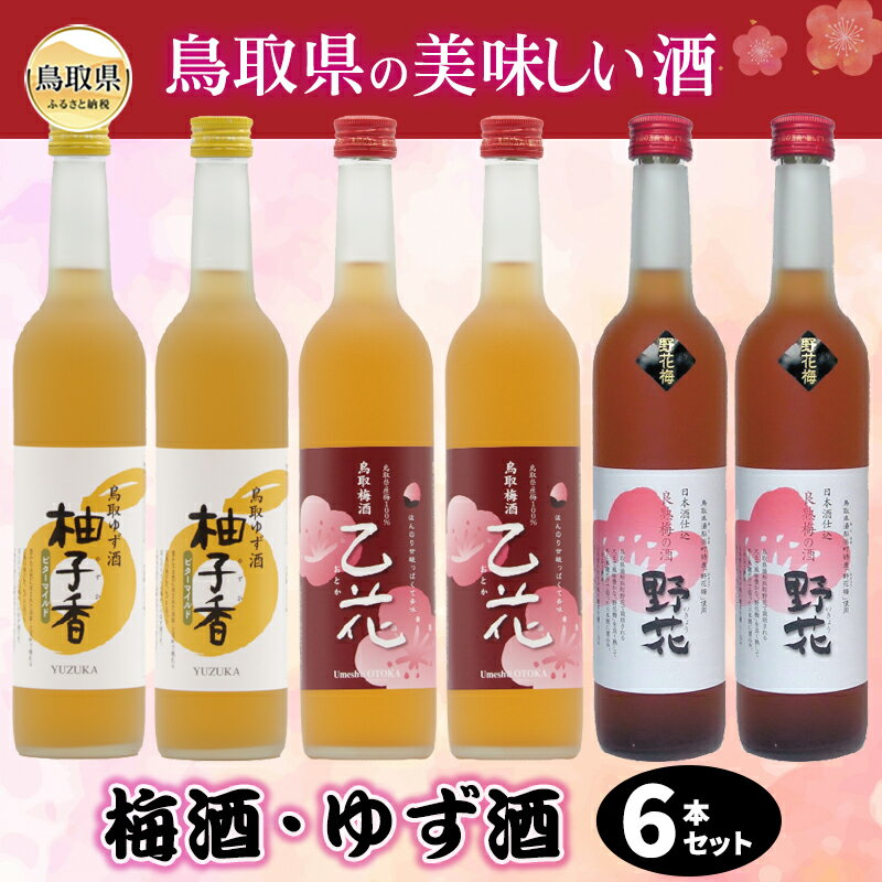 【ふるさと納税】C24-016 鳥取県の美味しい酒　梅酒・ゆず酒　6本セット