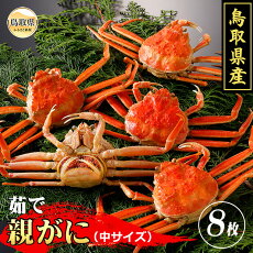 【ふるさと納税】D24-020 鳥取県産 茹で親がに【期間限定】 鳥取県 おすすめ ボイル 茹で かに がに ガニ 蟹 親がに