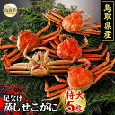 【ふるさと納税】D24-042 鳥取県産 足欠け蒸しせこがに(特大5枚)【期間限定】 鳥取県 おすすめ かに がに ガニ 蟹 せこがに ズワイガニ