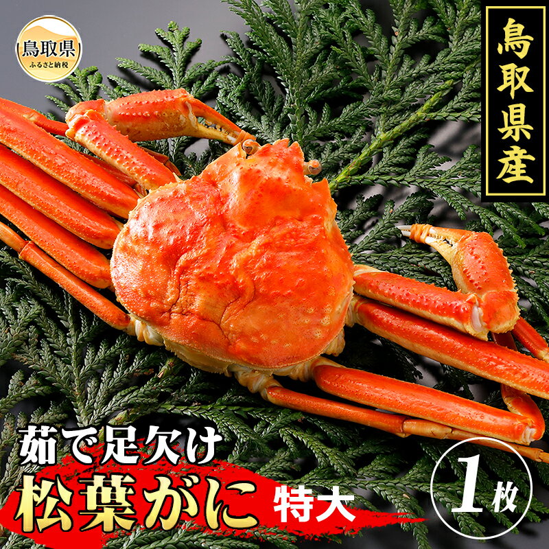 【ふるさと納税】E24-015 鳥取県産　茹で足欠け松葉がに【期間限定】 鳥取県 おすすめ ボイル 茹で かに がに ガニ 蟹 松葉ガニのサムネイル
