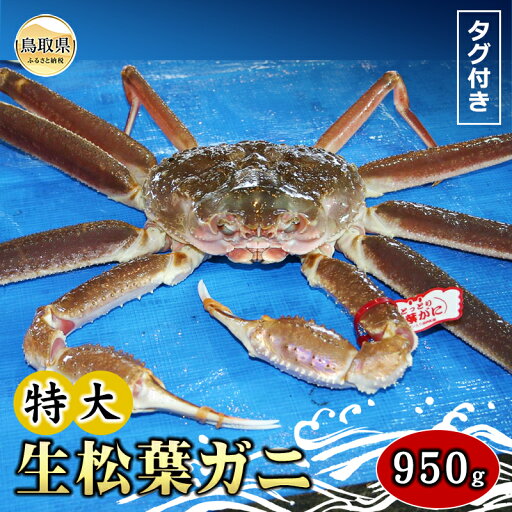 【ふるさと納税】E24-078 【魚倉】タグ付き生松葉ガニ 特大 約950g【期間限定】 鳥取県 おすすめ 生松葉 かに がに ガニ 蟹 松葉ガニ 【ふるさと納税】E24-078 【魚倉】タグ付き生松葉ガニ 特大 約950g【期間限定】 鳥取県 おすすめ 生松葉 かに がに ガニ 蟹 松葉ガニ