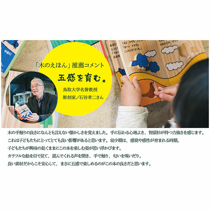 【ふるさと納税】E25-012 木のえほん1〜5巻セット（専用木箱付き） 鳥取県 おすすめ 智頭杉 因州和紙 絵本 鳥取材 天然木