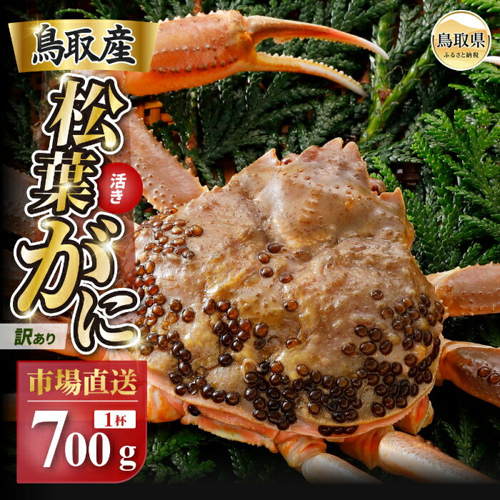 【ふるさと納税】E25-021 【2025年12月発送】特撰 松葉がに(なま)【訳あり】700g超の大きいサイズ 食べ応えあり 特大1杯