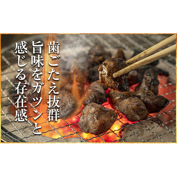 【ふるさと納税】鹿野地鶏モモ・ムネセット_T2600379 f310000-tottori-10003086 鳥取県 サンプル画像2