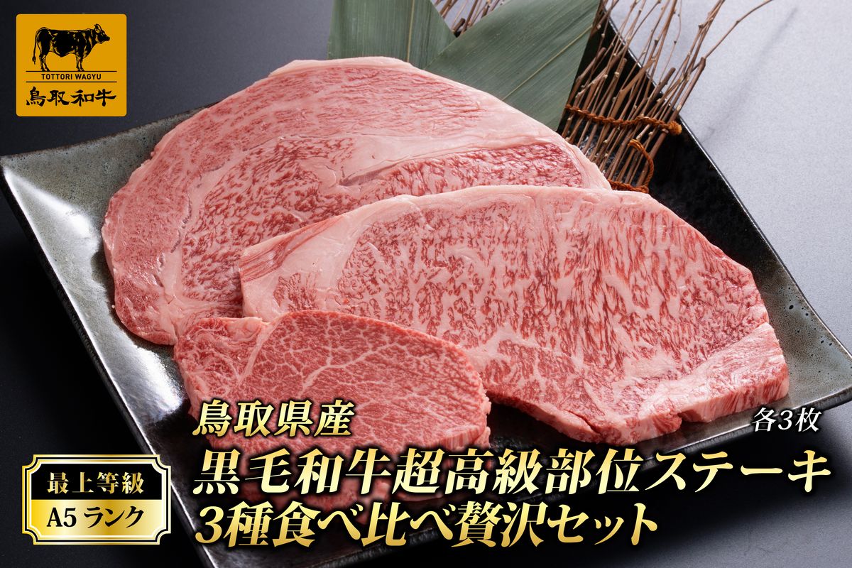 【ふるさと納税】F21-16 最上等級A5ランク鳥取県産黒毛和牛超高級部位ステーキ3種食べ比べ贅沢セット