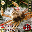 【ふるさと納税】F24-010 鳥取県産 活松葉がに&茹で松葉がに【期間限定】 鳥取県 おすすめ タグ付 かに がに ガニ 蟹 松葉ガニ 活松葉がに ボイル ズ...