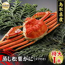 【ふるさと納税】F24-019 鳥取県産 蒸し松葉がに(タグ付き)特大1枚【期間限定】 鳥取県 おすすめ タグ付 かに がに ガニ 蟹 松葉ガニ ズワイガニ