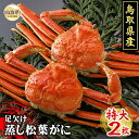 【ふるさと納税】F24-021 鳥取県産 足欠け蒸し松葉がに(特大2枚)【期間限定】 鳥取県 おすすめ かに がに ガニ 蟹 松葉ガニ ズワイガニ