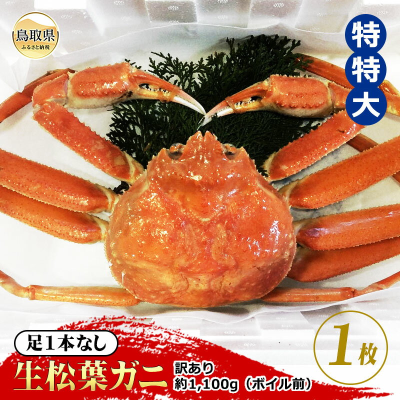 【ふるさと納税】F24-073 【魚倉】足1本なし生松葉ガニ訳あり 特特大 約1,100g【期間限定】 鳥取県 おすすめ 生松葉 かに がに ガニ 蟹 松葉ガニ...