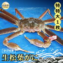 【ふるさと納税】F24-074 【魚倉】タグ付き生松葉ガニ 特特大 約1,100g【期間限定】 鳥取県 おすすめ 生松葉 かに がに ガニ 蟹 松葉ガニ ズワイ...