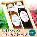 【ふるさと納税】り25-003 S-7 ミントシロップ&エキナセアシロップセット
