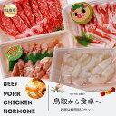 【ふるさと納税】が24-011 鳥取県産 焼肉セット 1.2kg (3〜5人前) ホルモン 牛肉 豚肉 鶏肉 焼き肉 バーベキュー BBQ ファミリーセット