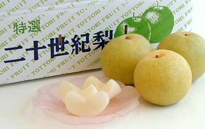 二十世紀梨(さじ弐拾壱)