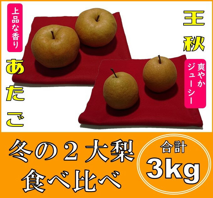 0407 「王秋」と「あたご」の食べ比べセット 3キロ(五本松まえ柴)　 王秋梨　なし　鳥取