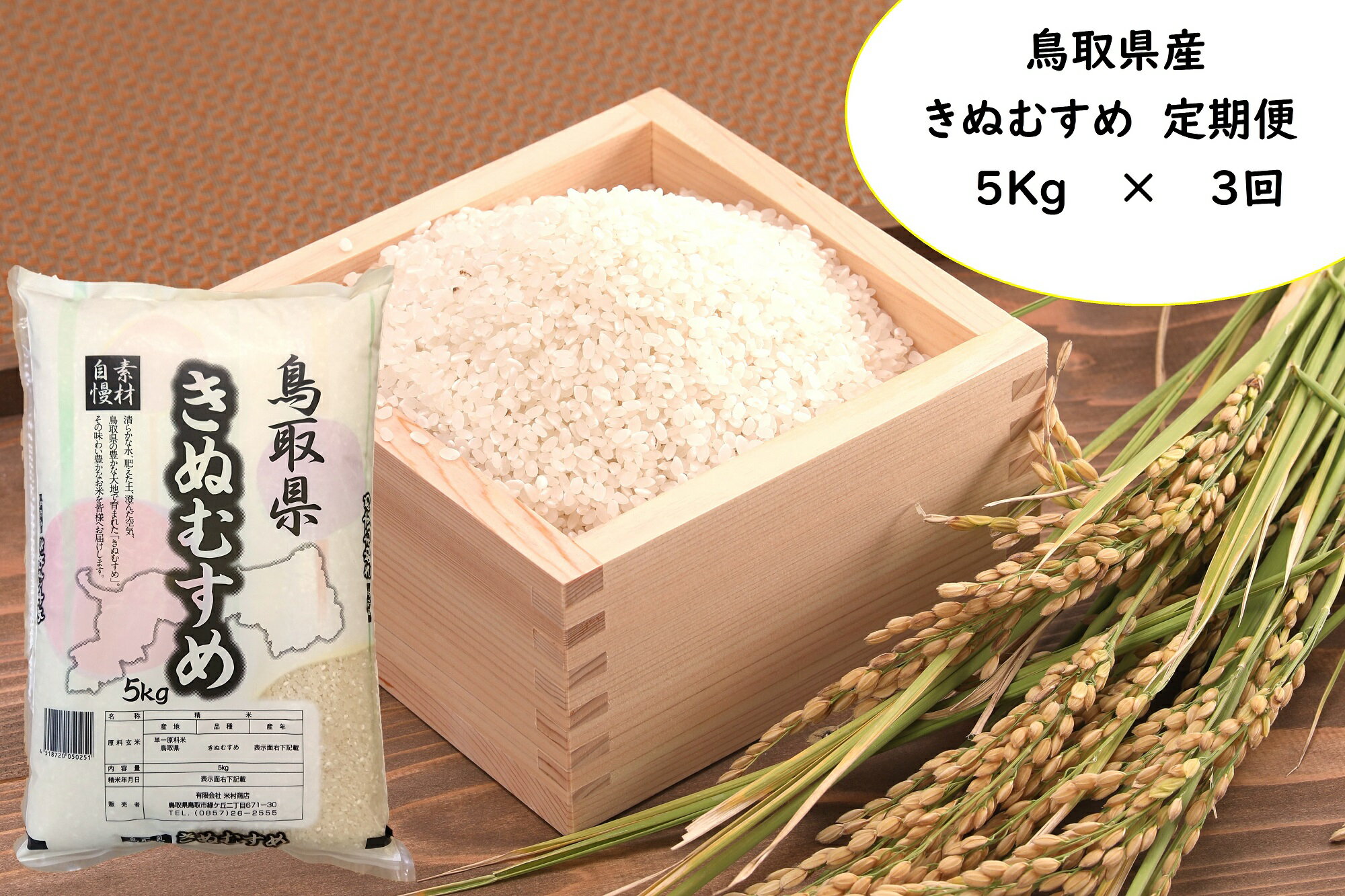 【ふるさと納税】531　【定期便3回】　鳥取県産きぬむすめ　5Kg × 3回お届け（米村商店）お米　米　頒布会