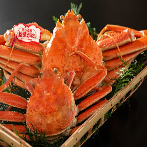 【ふるさと納税】573 鳥取県産　ボイル夫婦がに(中村商店)　かに　カニ　蟹　ゆで　松葉がに　ずわいがに　親がに