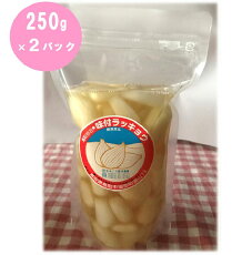 【ふるさと納税】692　橋本さんちの砂丘らっきょう甘酢漬け　500g　らっきょう　送料無料