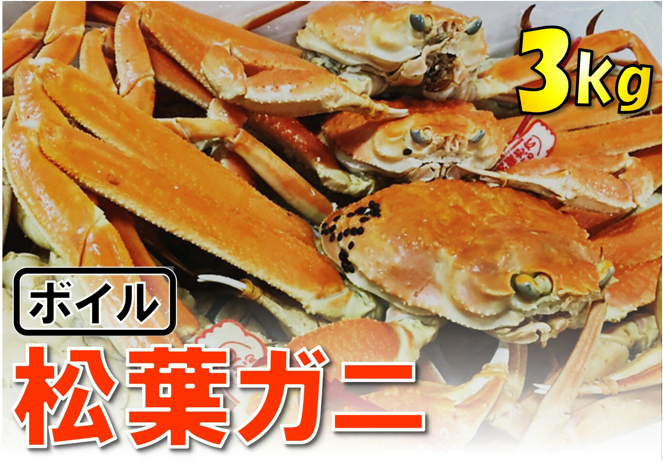 【ふるさと納税】951【魚倉】松葉がに　ボイル　おまかせセット　3kg訳あり　鳥取　かに　蟹　　期間限定