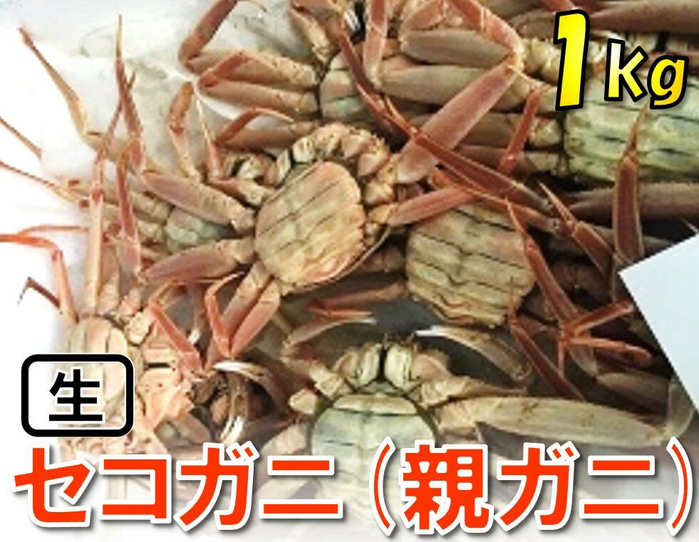 14位! 口コミ数「0件」評価「0」1118【魚倉】活お任せセコガニ1kgセット　 鳥取　かに　蟹　送料無料