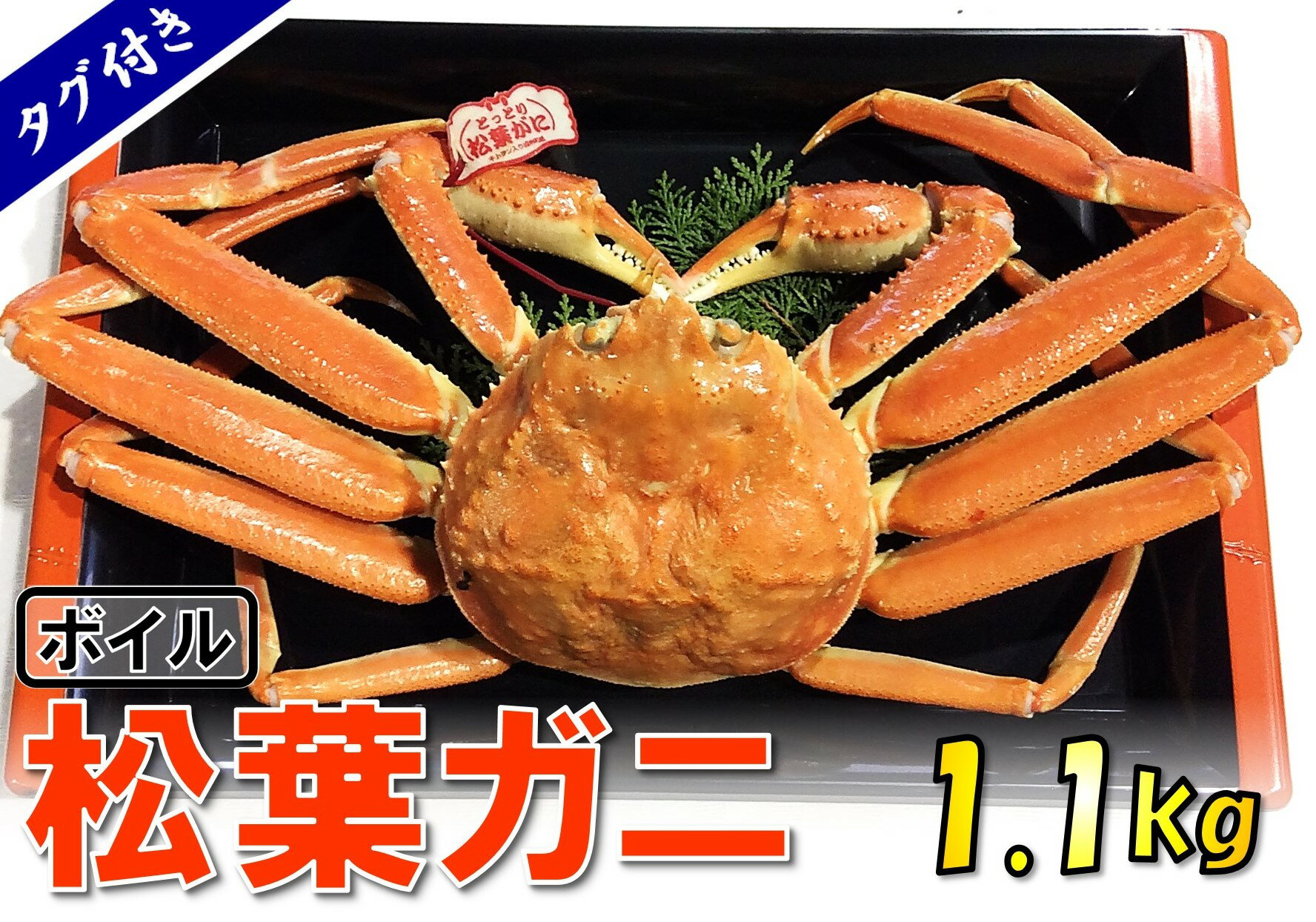 27位! 口コミ数「0件」評価「0」1540【魚倉】タグ付きボイル松葉ガニ(特特大1,100g)　　鳥取　かに　送料無料