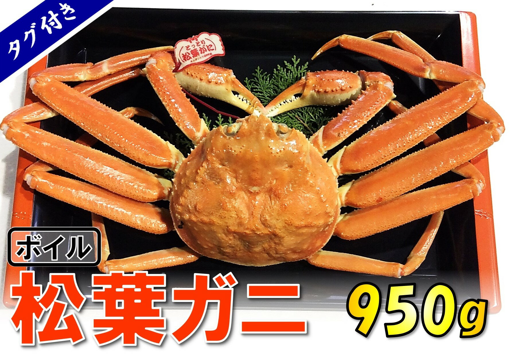 26位! 口コミ数「0件」評価「0」1541【魚倉】タグ付きボイル松葉ガニ(特大950g)　　鳥取　かに