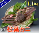 【ふるさと納税】1129 【魚倉】タグ付き生松葉ガニ(特特大1,100g)【到着日指定不可】