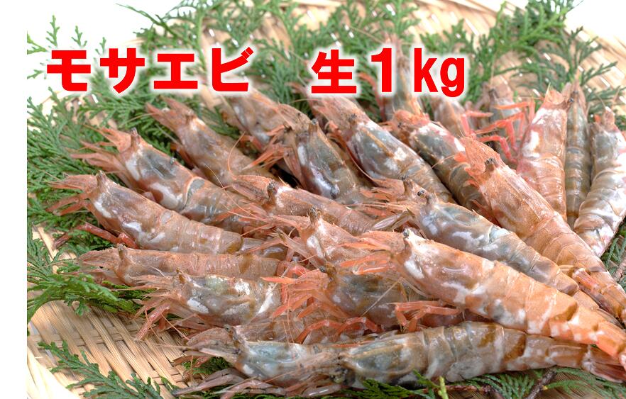 1143 [魚倉]モサエビ 生1kg(中〜大サイズ) えび 期間限定 鳥取