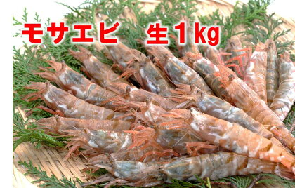 1143 【魚倉】モサエビ 生1kg(中～大サイズ)　　　えび　期間限定　鳥取