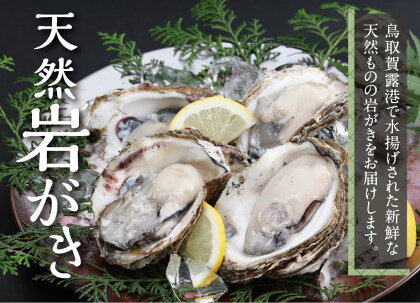 0071 鳥取賀露港 天然岩がきセット (かねまさ・浜下商店)　 期間限定　牡蠣　カキ