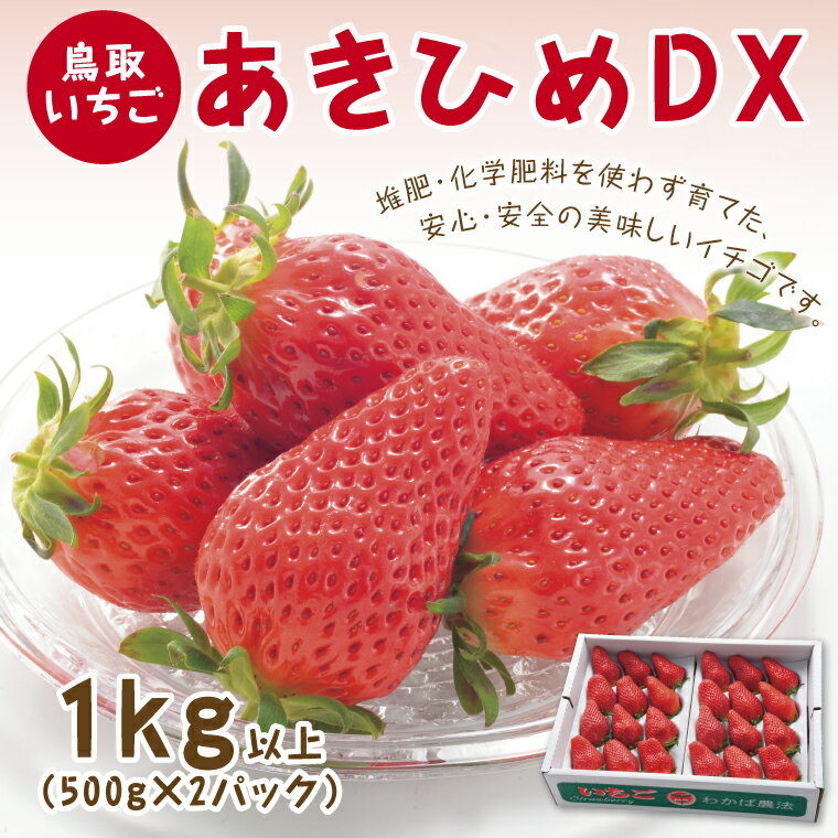 0533 あきひめDX 1kg(とみハウス)　　苺