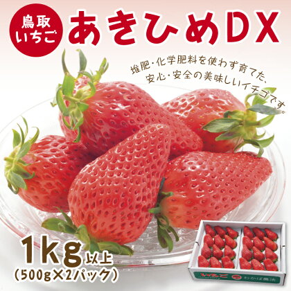 0533 あきひめDX 1kg【鳥取いちご】(とみハウス)　　苺