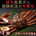 【ふるさと納税】1243 松葉ガニ活生「特大1枚」ブランドタグ付き(弁慶丸)【到着日指定不可】