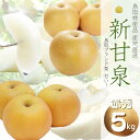 返礼品説明 返礼品名 1373 鳥取県産 新甘泉梨(贈答用) 赤秀 5kg詰(いまる) 名称 新甘泉梨 産地名 鳥取市 内容量 新甘泉梨【赤秀】　5kg（8玉～16玉入） ※数量限定：50セット ※玉数はお選びいただけません。 ※「黒点」がある場合も正規の秀品となっておりますので予めご了承ください。 入金期限 8月31日 発送期日 8月下旬よりお申込み順に入荷次第発送 保存方法 常温 賞味期限 発送から常温7日 配送方法 常温 提供元（製造者、加工業者等） いまる 鳥取県鳥取市吉方174番地3 備考 鳥取県限定品種「新甘泉（しんかんせん）」です。 糖度13～15度と抜群の甘さ！ 大自然の中で丁寧に育てられた梨をぜひご賞味ください。 注意事項 ※天候、生育状況によって発送時期が前後することがあります。 ※配達日は指定できません。長期不在等の受け取れない日がある場合はご連絡ください。 ※万が一ひどい傷み等があった場合は、写真・画像を添付の上、「鳥取市役所ふるさと納税係」までご連絡ください。なお、到着日より3日以降の対応は致しかねます。 ・ふるさと納税よくある質問はこちら ・寄附申込みのキャンセル、返礼品の変更・返品はできません。あらかじめご了承ください。「ふるさと納税」寄付金は、下記の事業を推進する資金として活用してまいります。 寄付を希望される皆さまの想いでお選びください。 (1) 鳥取砂丘の保全と活性化に関する事業 (2) 福祉に関する事業 (3) 教育に関する事業 (4) 青少年育成に関する事業 (5) 文化振興に関する事業 (6) 地域振興に関する事業 (7) 中心市街地の活性化に関する事業 (8) 日本遺産による麒麟のまちの活性化 (9) 医療に関する事業 希望がなければ、市政全般に活用いたします。 入金確認後、注文内容確認画面の【注文者情報】に記載の住所にお送りいたします。 発送の時期は、寄附確認後30営業日以内を目途に、お礼の特産品とは別にお送りいたします。