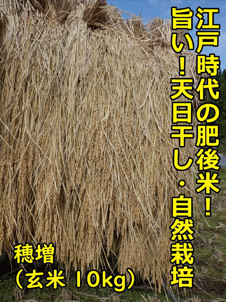 【ふるさと納税】1434 江戸時代のお米！ 穂増(玄米) 1