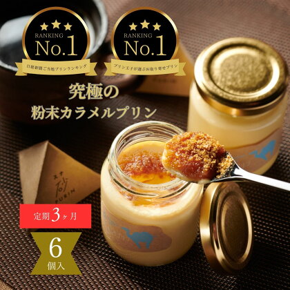 1379 ［3ヶ月定期便］究極のカラメルプリン【砂プリン】6個セット　送料無料　スイーツ　鳥取　プリン　洋菓子　デザート　お菓子　ギフト　頒布会　お取り寄せ　鳥取砂丘