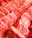 【ふるさと納税】368 鳥取和牛焼肉おまかせセット 送料無料...